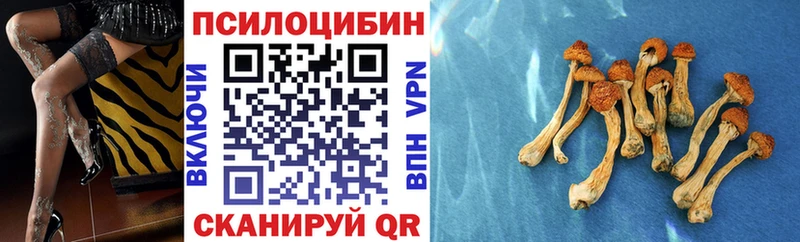 Купить закладки  Ахтубинск  Галлюциногенные грибы мухоморы 